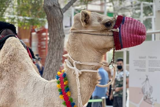 ͼƬ��������,����,��,վ�������Զ�����